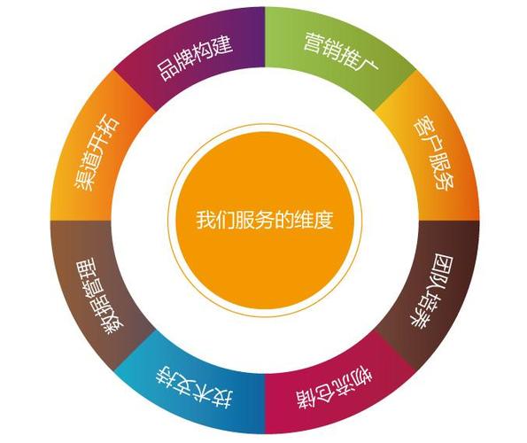 b2c推广策略,电子商务网站推广,网络营销策划,roi提升